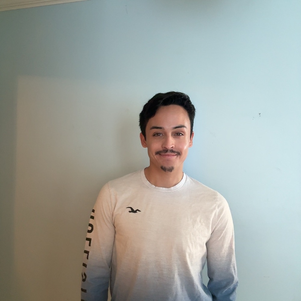 Hollister Men's White Long Sleeve Shirt